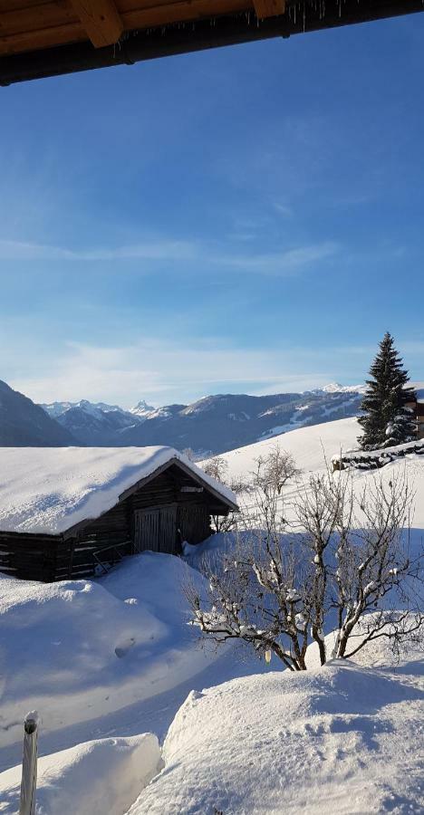 Appartement Bergpanorama Flachau Exterior foto